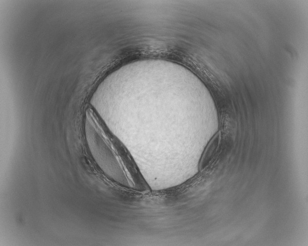 X0000115061153200911161602