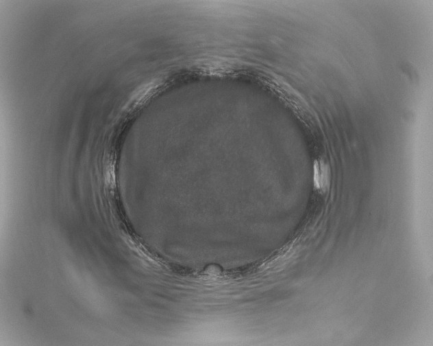 X0000115061155200911161602