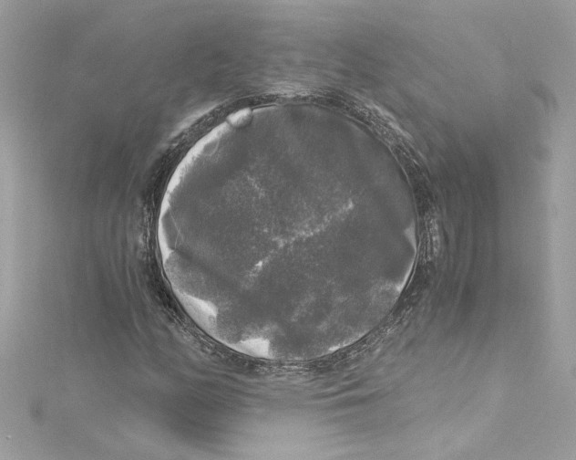 X0000115061158200911161602