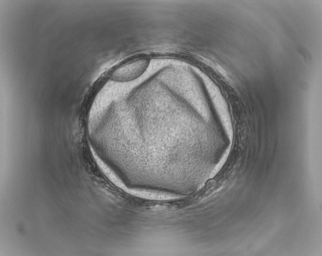 X0000115061160200911161602