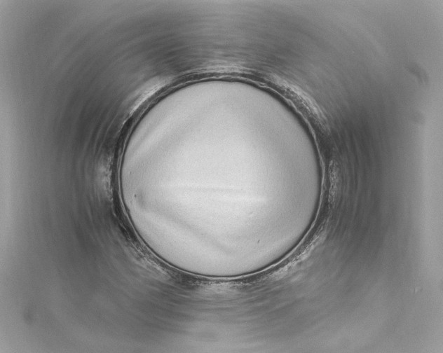 X0000115061162200911161602