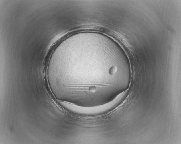 X0000115061164200911161602