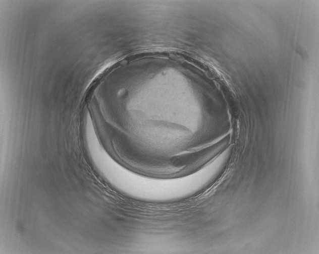 X0000115061165200911161602