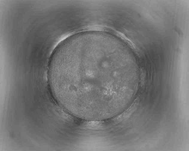 X0000115061166200911161602