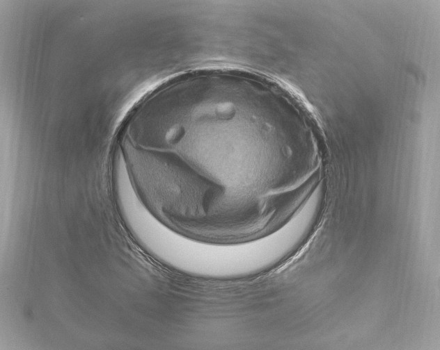 X0000115061167200911161602