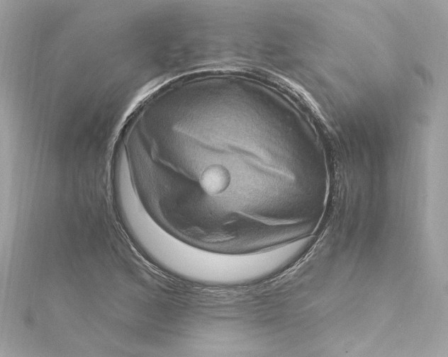 X0000115061168200911161602