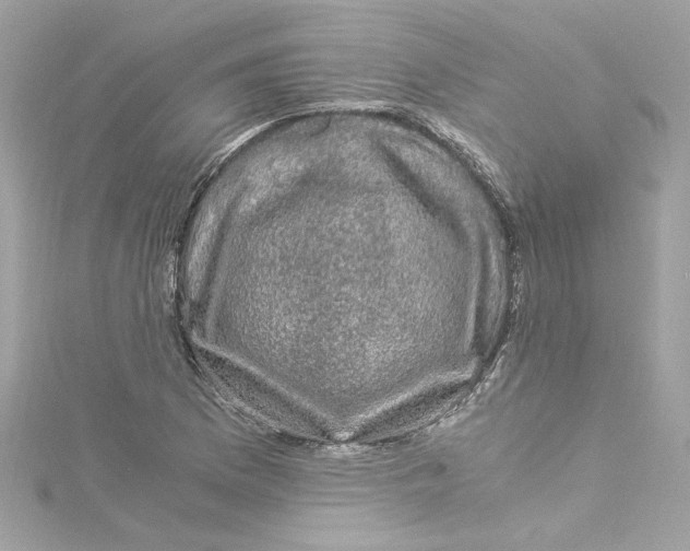 X0000115061169200911161602