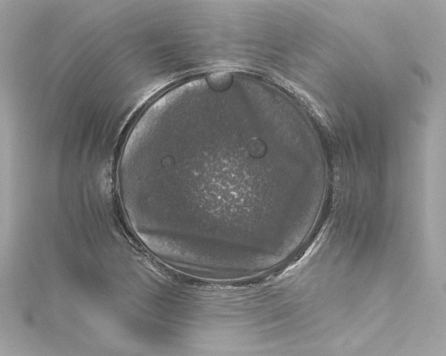 X0000115061170200911161602