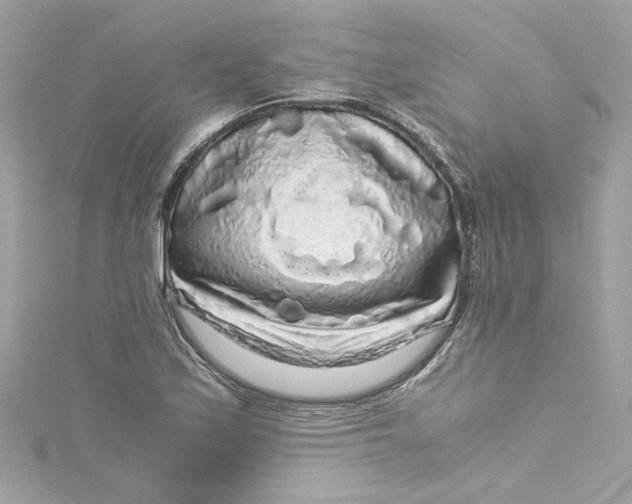 X0000115061171200911161602