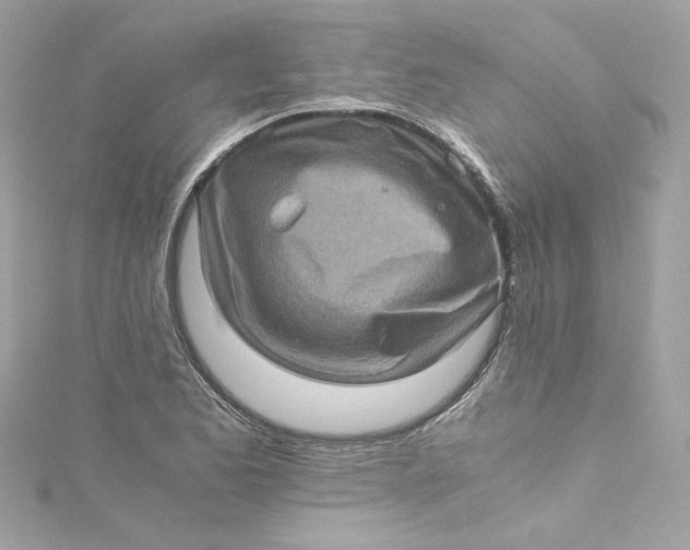 X0000115061173200911161602