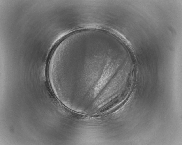 X0000115061174200911161602