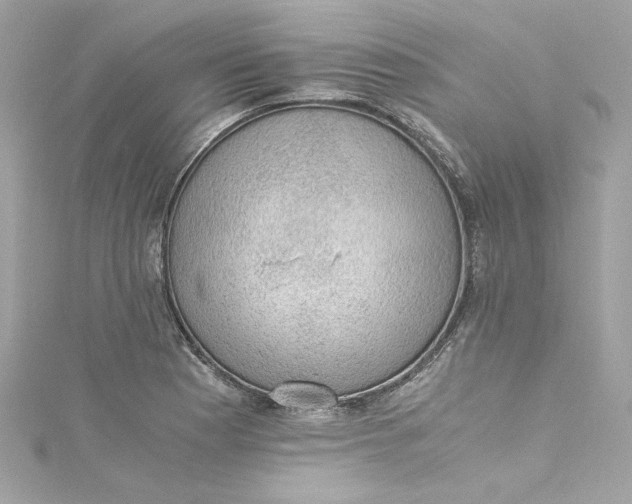 X0000115061177200911161602