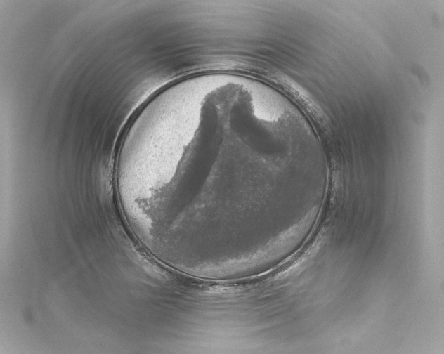 X0000115061178200911161602