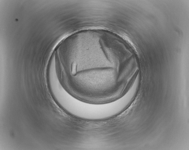 X0000115061181200911161602