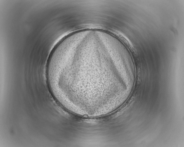 X0000115061182200911161602