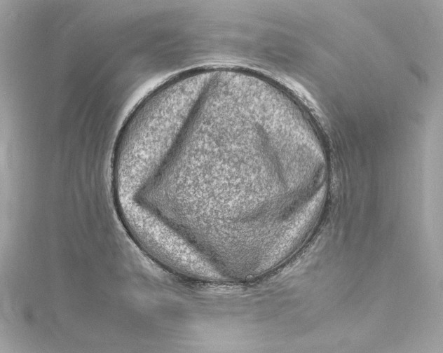 X0000115061183200911161602