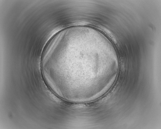 X0000115061186200911161602