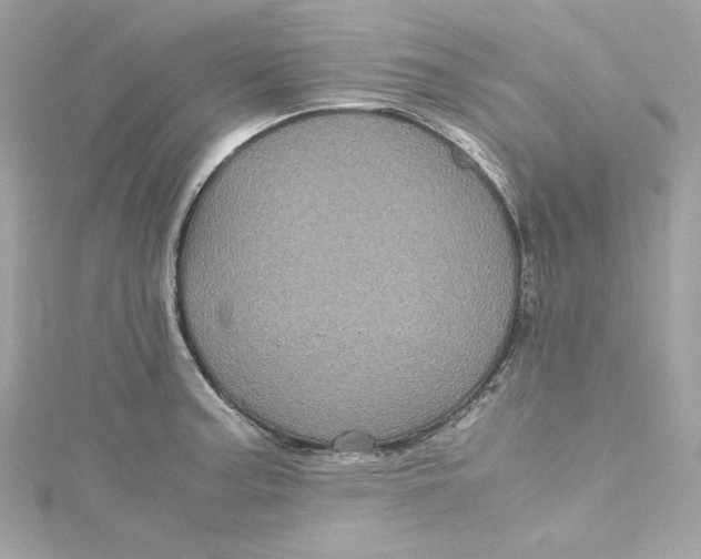 X0000115061187200911161602