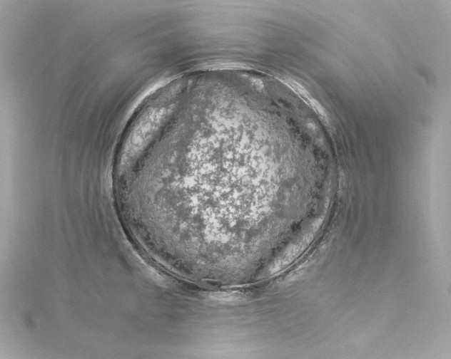 X0000115061189200911161602