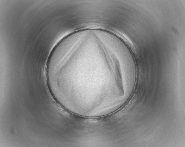 X0000115061190200911161602