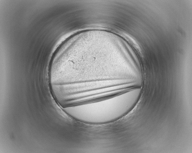 X0000115061192200911161602