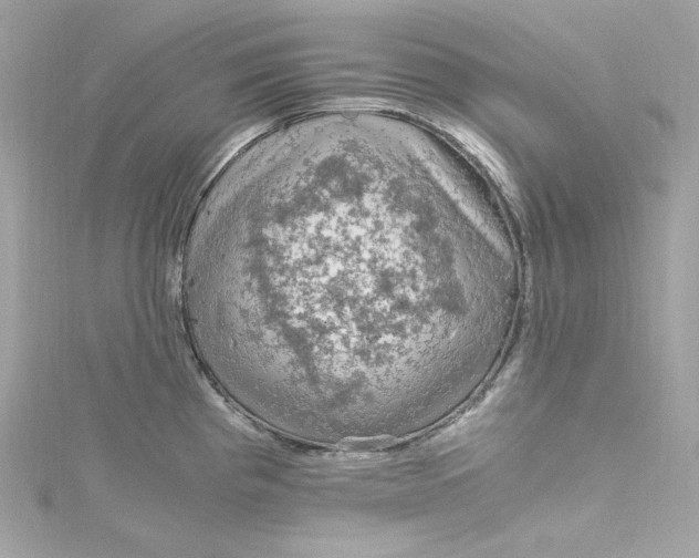 X0000115061193200911161602