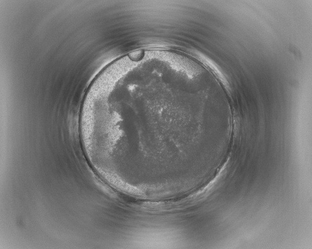 X0000115061194200911161602