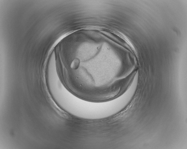 X0000115061195200911161602