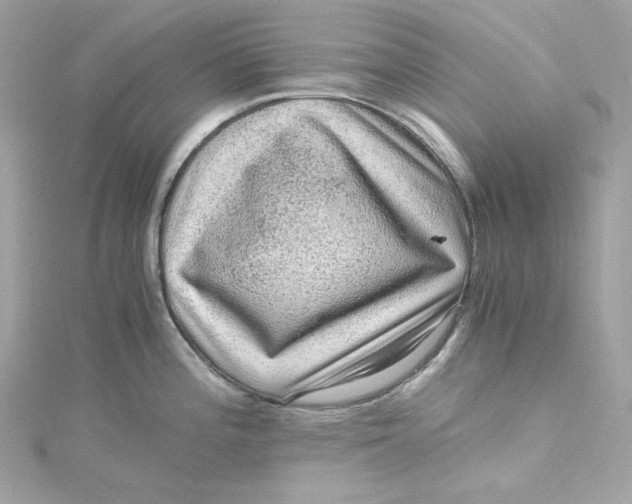 X0000115061196200911161602