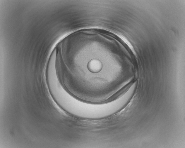 X0000115061197200911161602