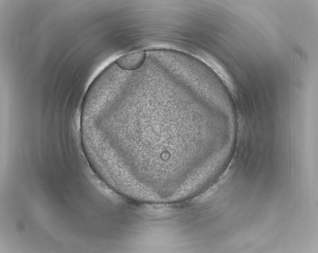 X0000115061198200911161602