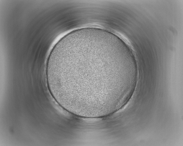 X0000115061200200911161602