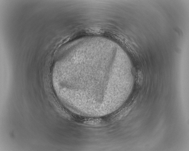 X0000115061201200911161601