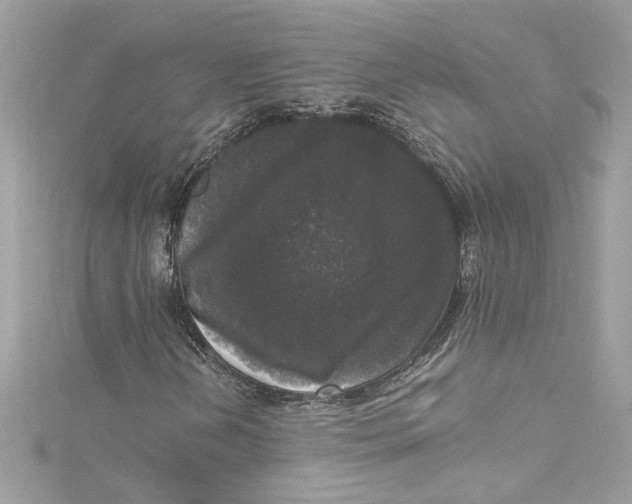 X0000115061202200911161601