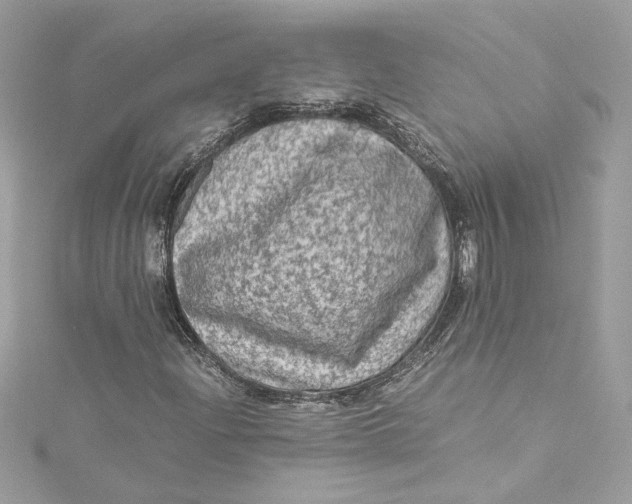 X0000115061204200911161601