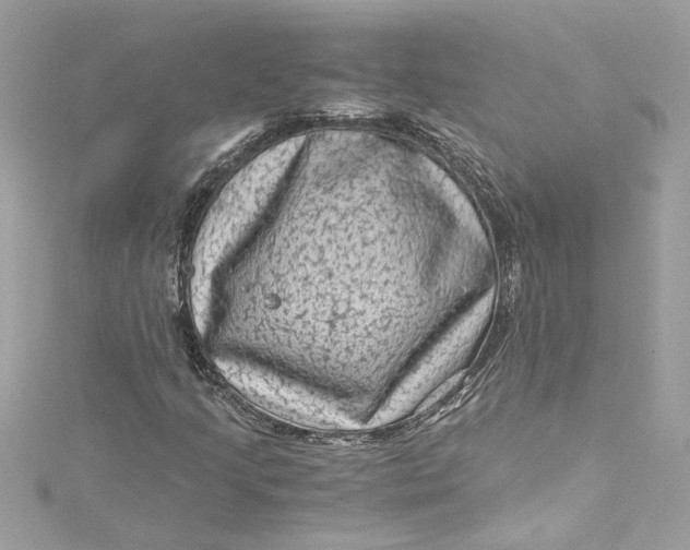 X0000115061205200911161601