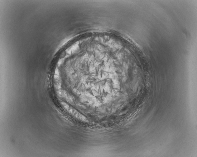 X0000115061208200911161601