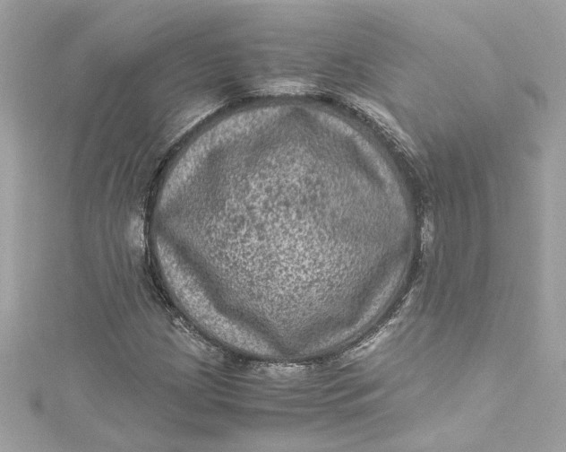 X0000115061209200911161601