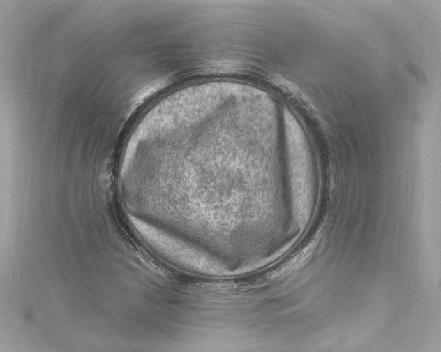 X0000115061210200911161601