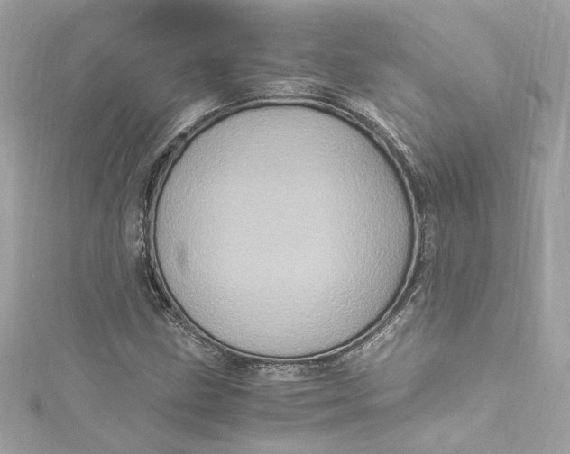 X0000115061211200911161601