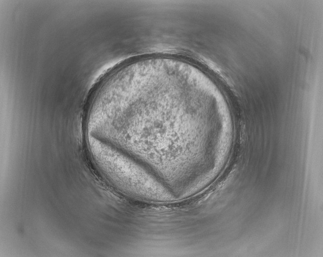 X0000115061214200911161601