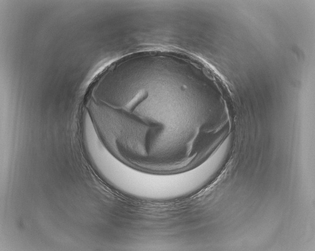 X0000115061215200911161601