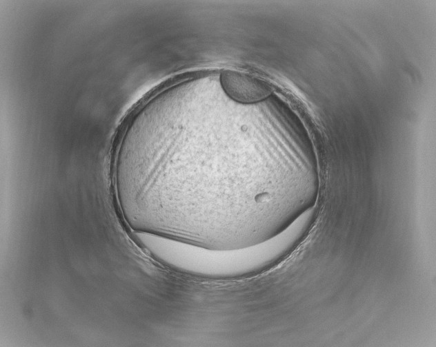 X0000115061216200911161601