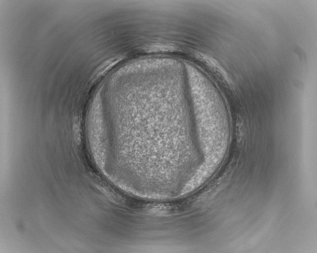 X0000115061217200911161601