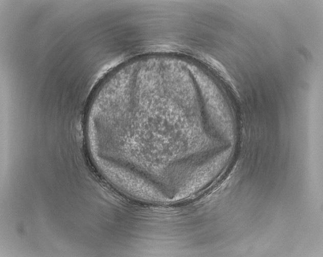 X0000115061218200911161601