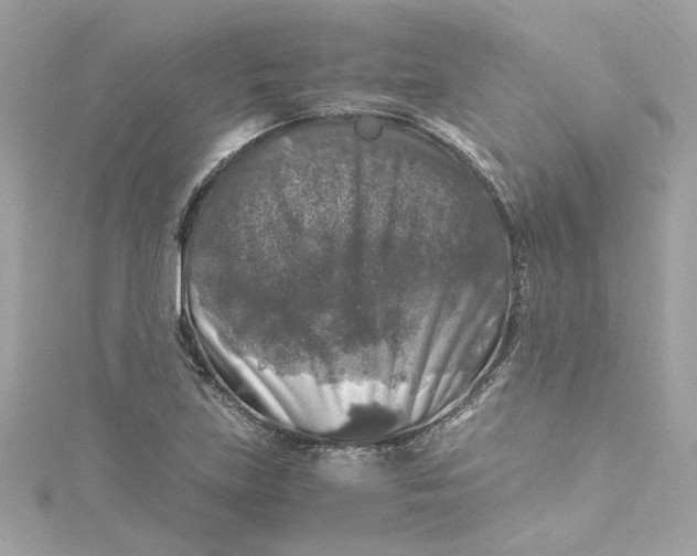 X0000115061219200911161601