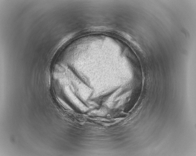 X0000115061221200911161601