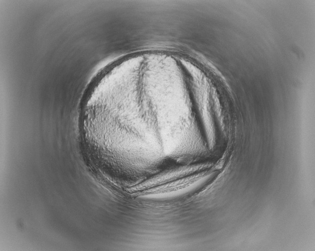 X0000115061222200911161601