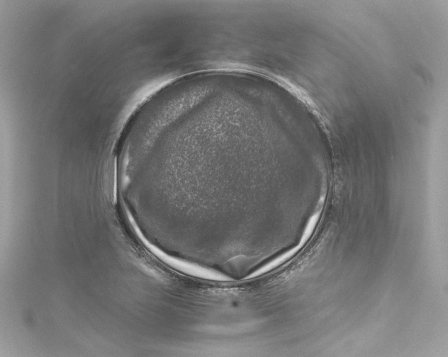 X0000115061223200911161601