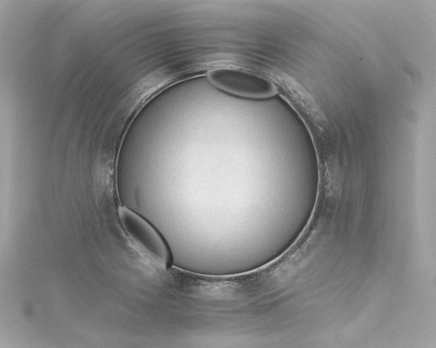 X0000115061225200911161601